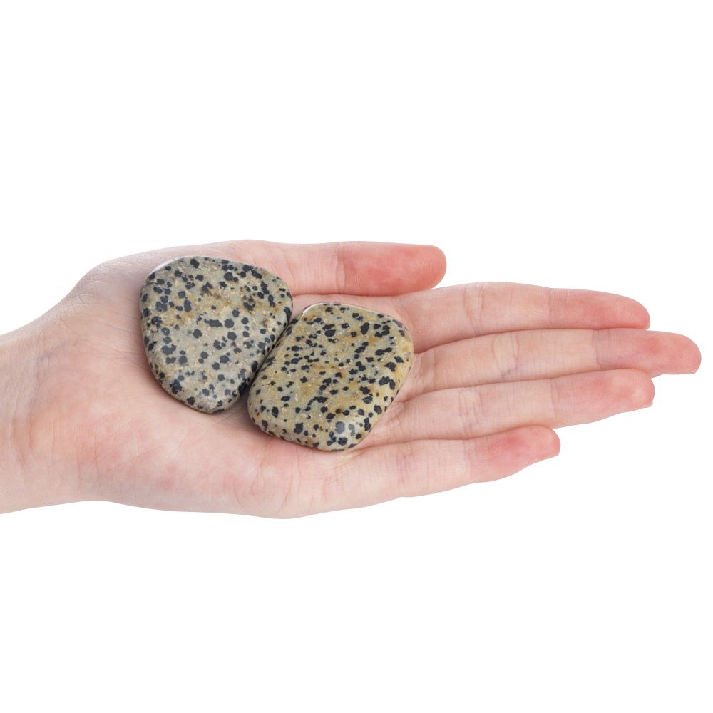 Dalmation Jasper Palmstone