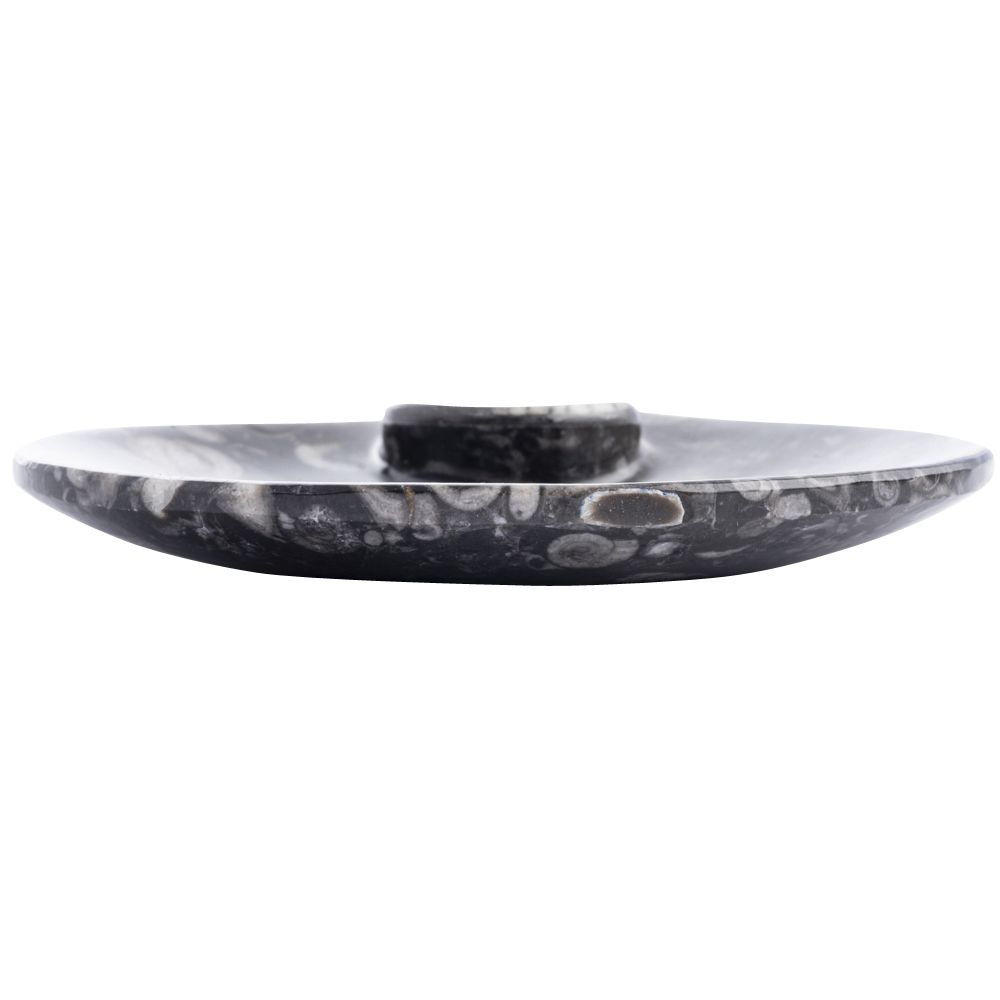 Fossil Dish