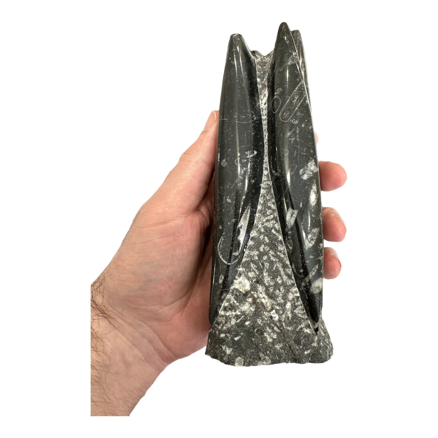 Small Orthoceras Tower