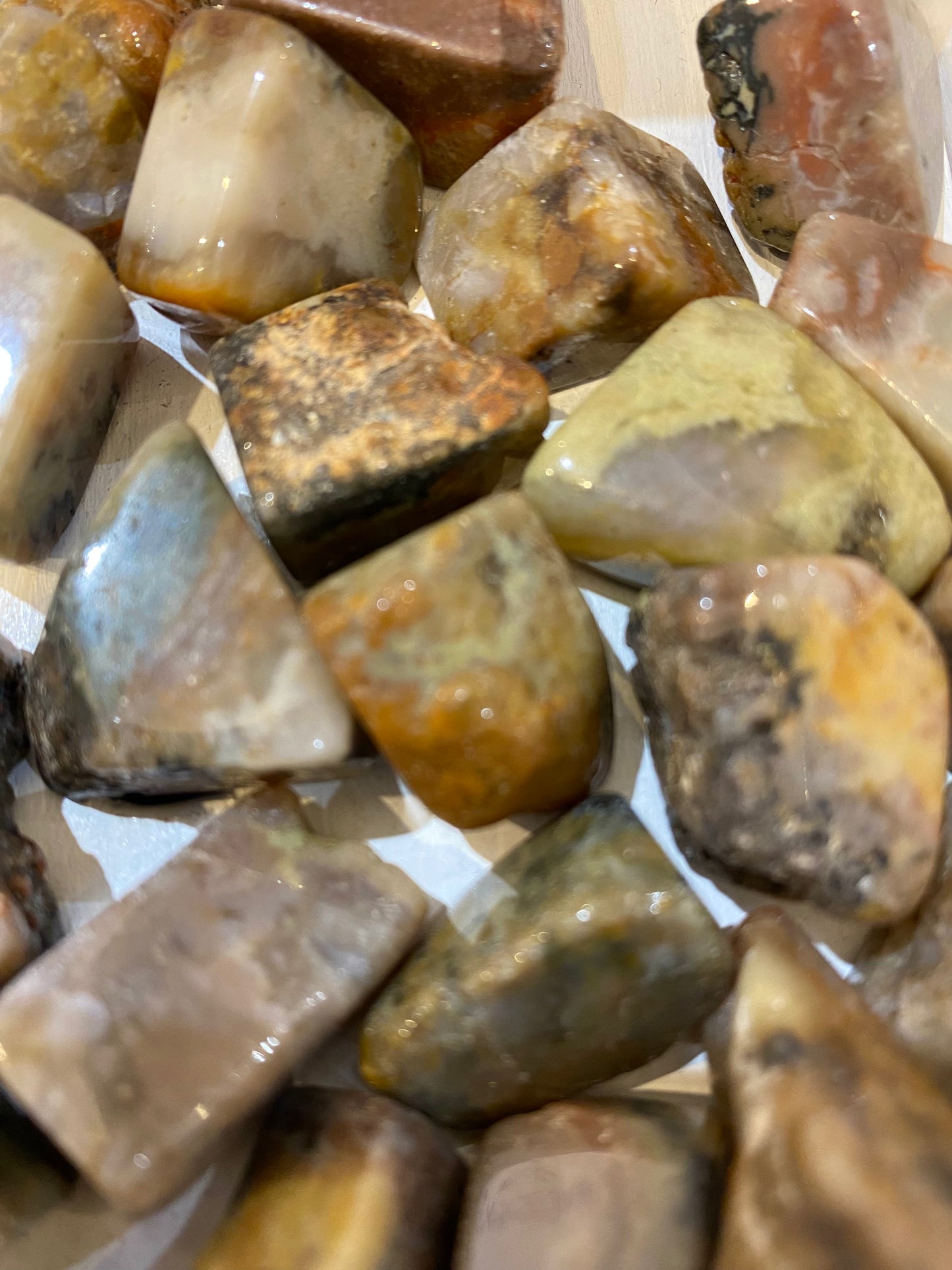 Dinosaur Coprolite