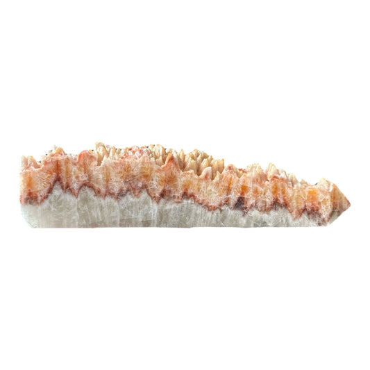 Large Dog Tooth Calcite